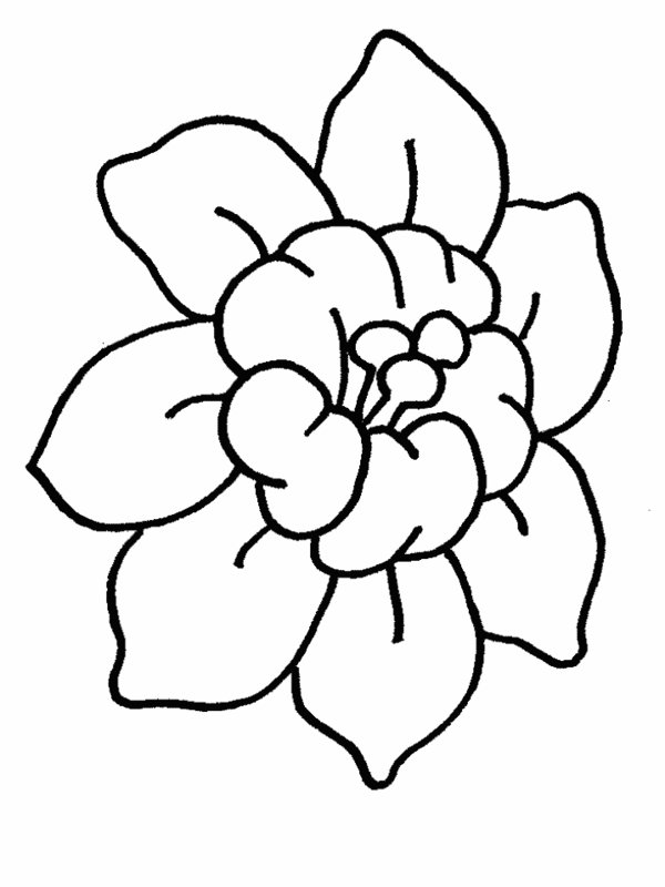 600x800 Gallery Cartoon Flower Drawings,