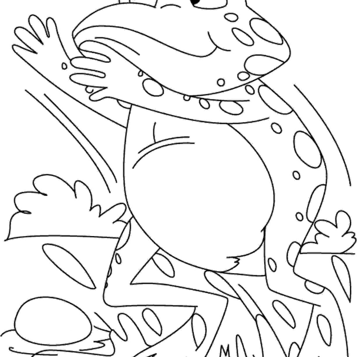 1224x1224 Green Eyed Tree Frog Coloring Page Free Printable Excellent Pages