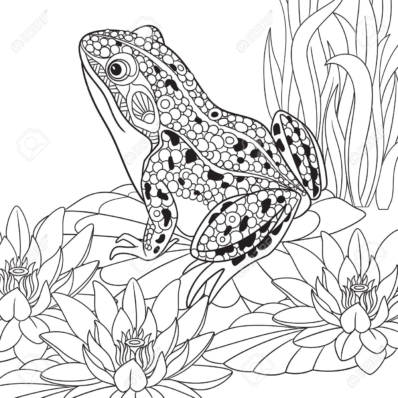 1300x1300 Zentangle Stylized Cartoon Frog Sitting Among Lotus Flowers