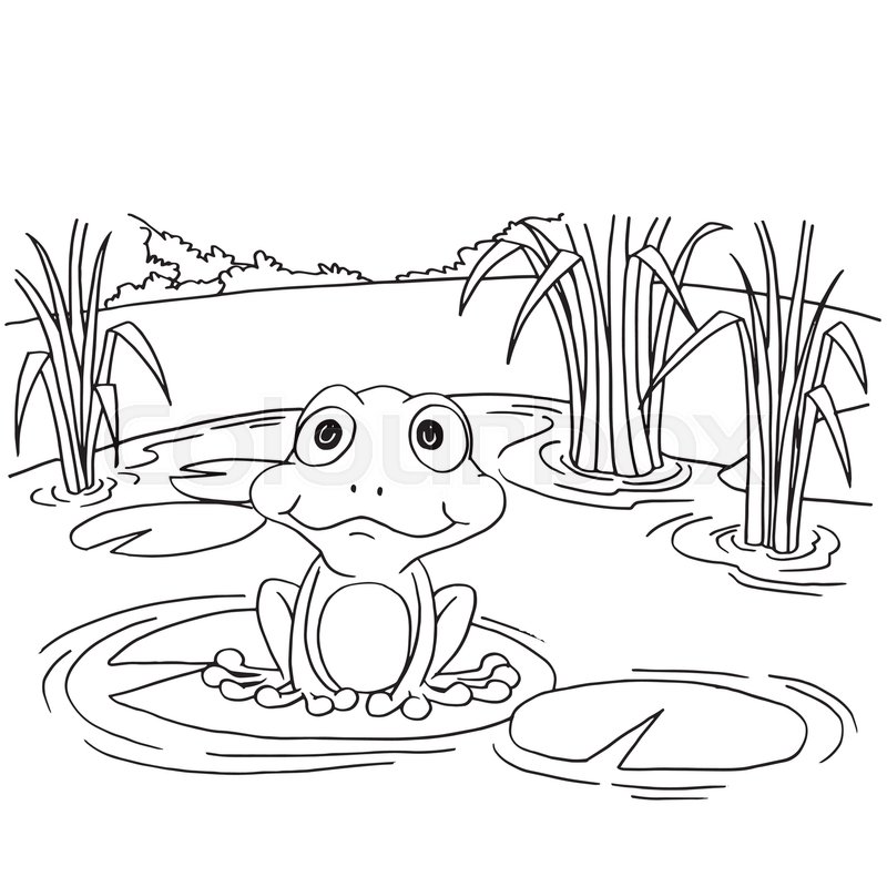 800x800 Cartoon Frog On Lily Pad
