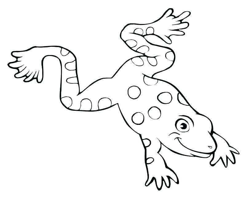 800x660 Cartoon Frog Coloring Pages