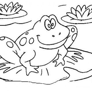320x320 Tag For Frog Kids Drawing 111 Learn How To Draw A Frog For Kids