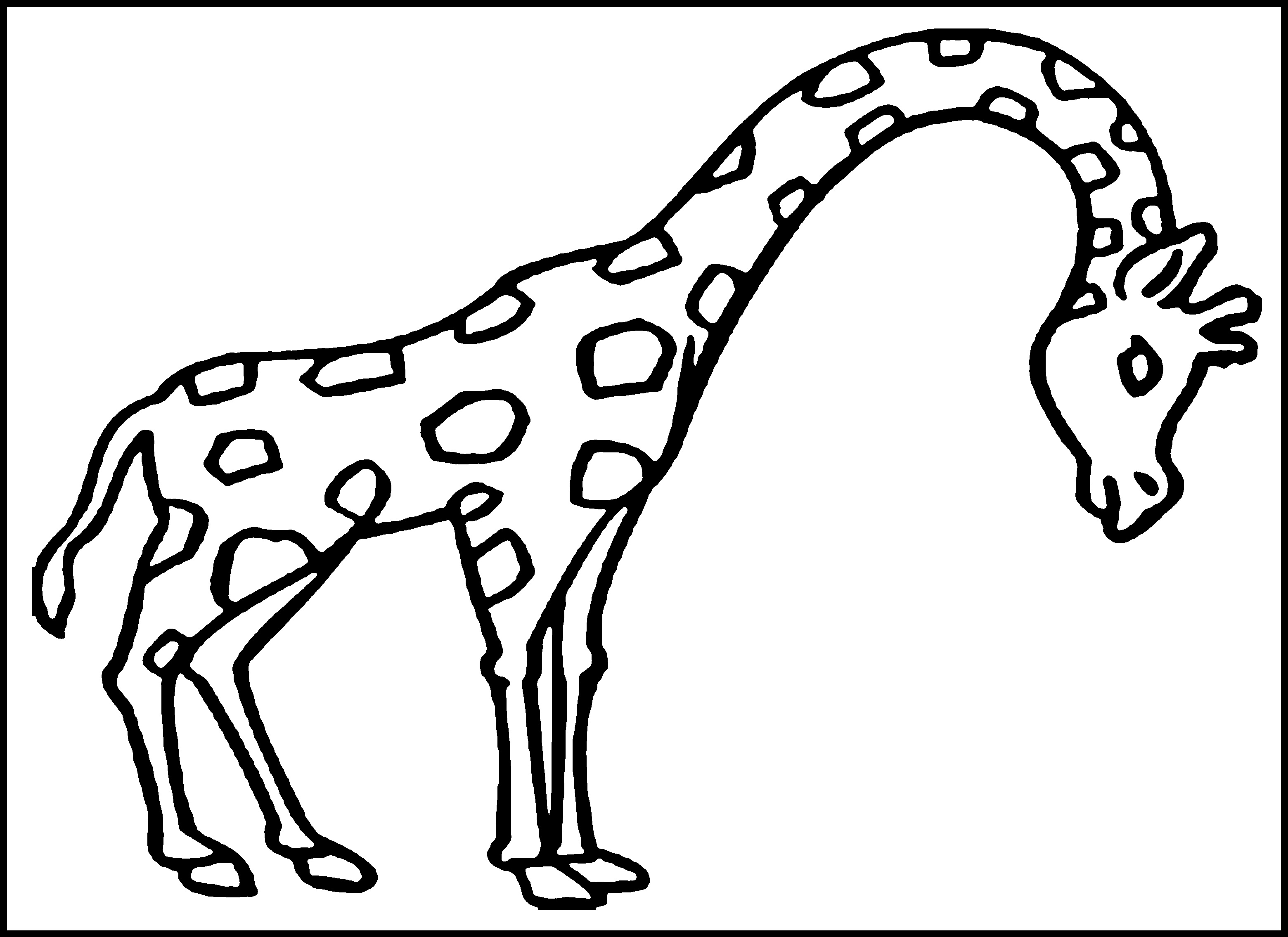 3120x2270 Giraffe Coloring Pages