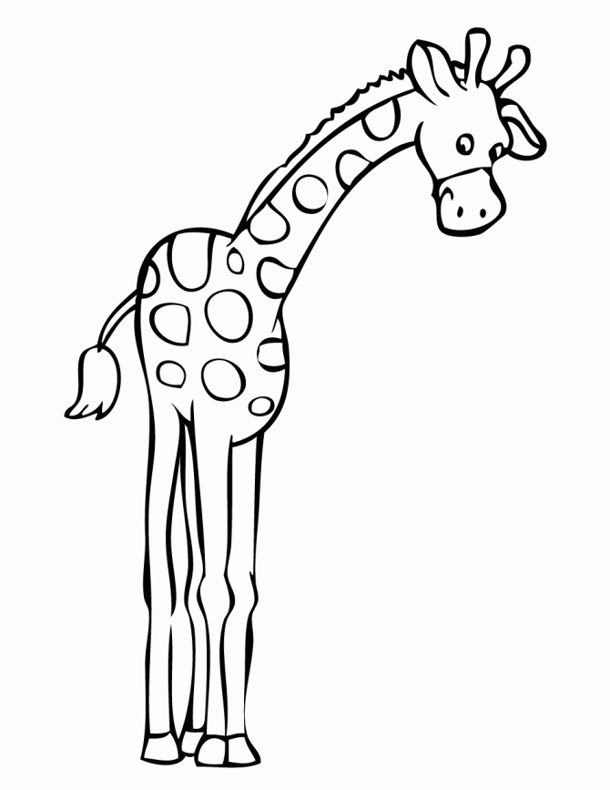 670x867 Giraffe Clipart Cartoon Coloring