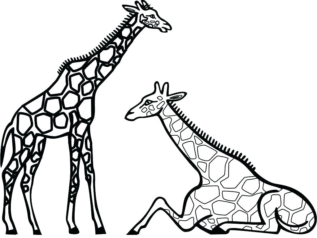 1024x767 Giraffes Coloring Pages Giraffe Coloring Giraffe Coloring Page