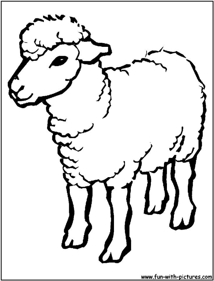 736x966 Animated Sheep Drawings Cute Cartoon Sheep