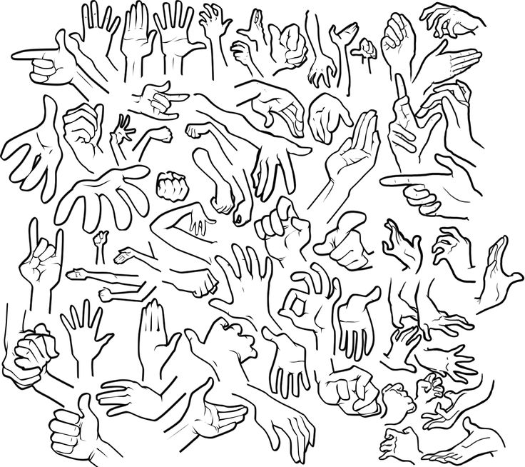 736x654 81 Best Anatomy