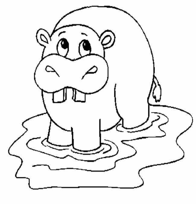 650x677 Hippopotamus Coloring Page For Kids