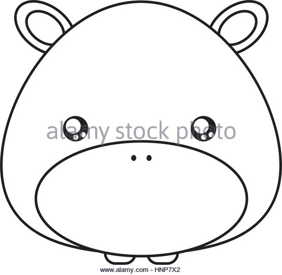 554x540 Cartoon Hippo Face Stock Photos Amp Cartoon Hippo Face Stock Images