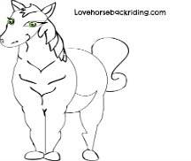 216x182 Draw A Cartoon Horse. Learn How With These Easy Step By Step