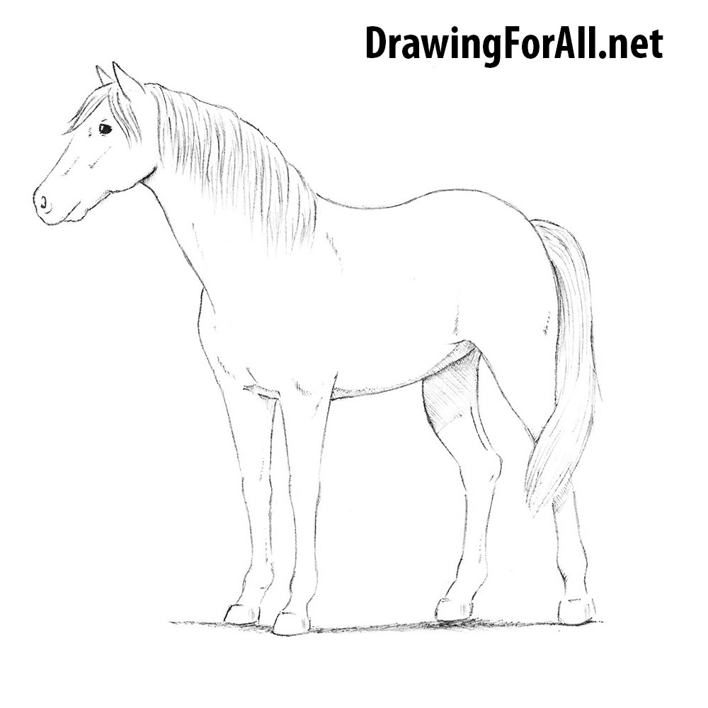 1000x1000 How To Draw A Cartoon Horse Drawingforallnet Home Decor Modern Ideas