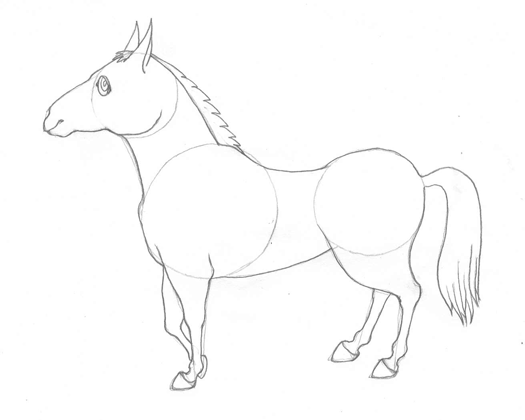 525x420 How To Draw A Horse