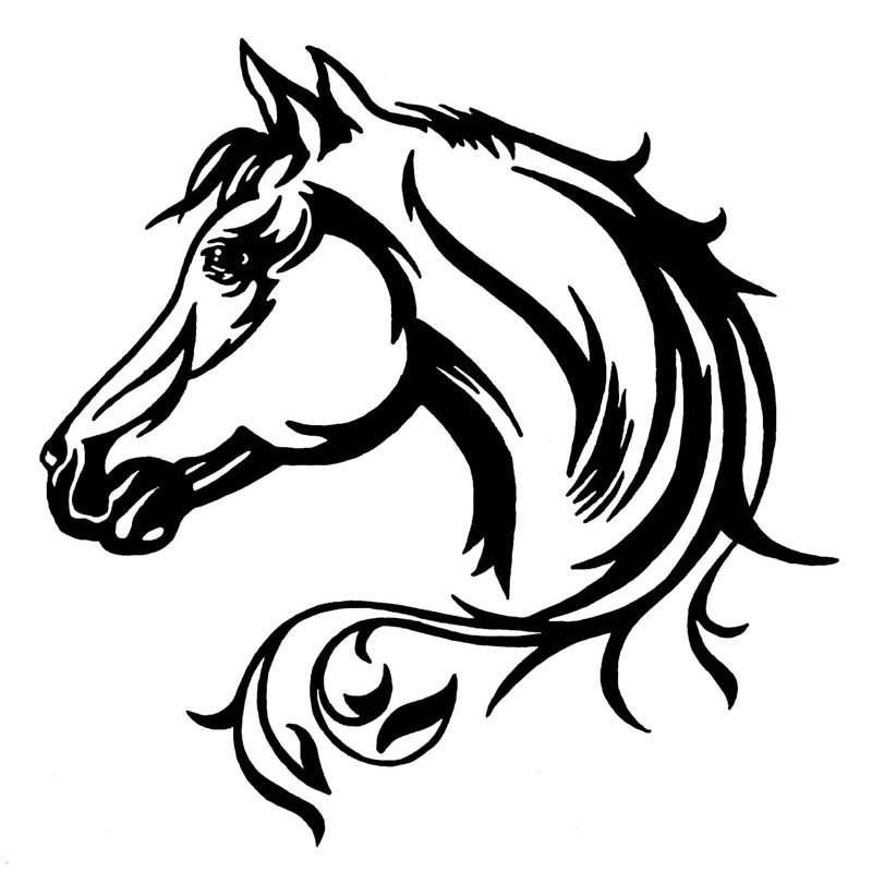 800x800 Horse Head Cartoon Collection