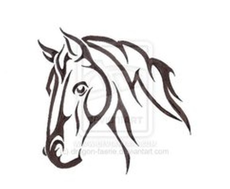 800x658 Horse Head Tatoo Group