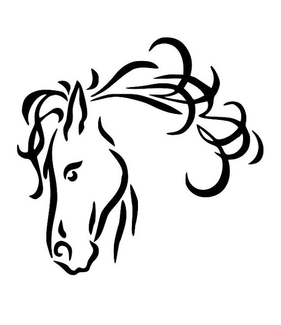 570x659 Horse Line Drawings Clip Art 24 Horse Head Line Drawing Free