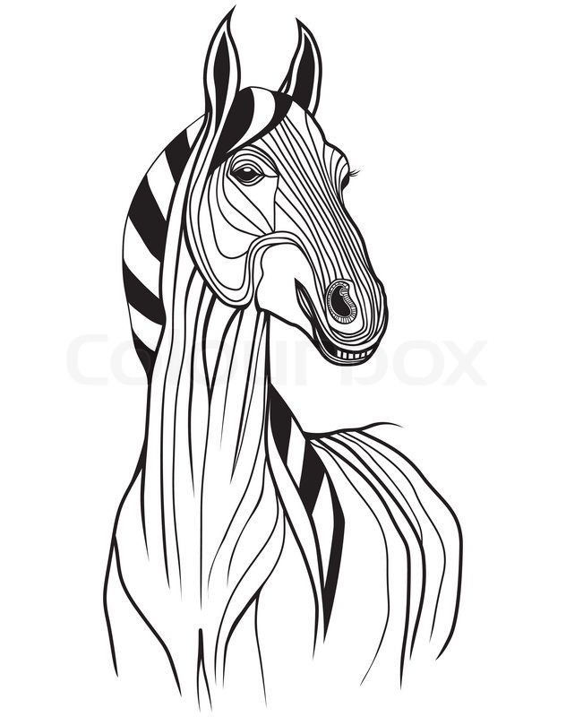 632x800 Horse Head Vector Animal Illustration For T Shirt. Sketch Tattoo