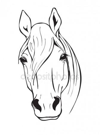 335x450 Black And White Horse Head Stock Vector Minyanna
