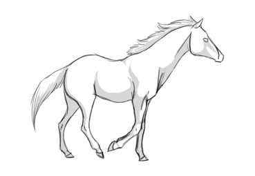 Cartoon Horses Drawing