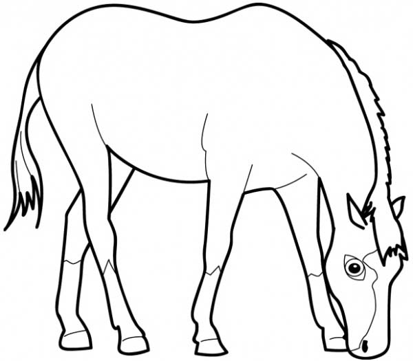 600x525 Horse Eating Grass In Horses Coloring Page