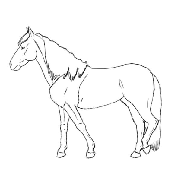 Cartoon Horses Drawing at GetDrawings | Free download