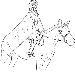 250x241 Outline, Man, Cartoon, Horse, Horses, Draw, Animal