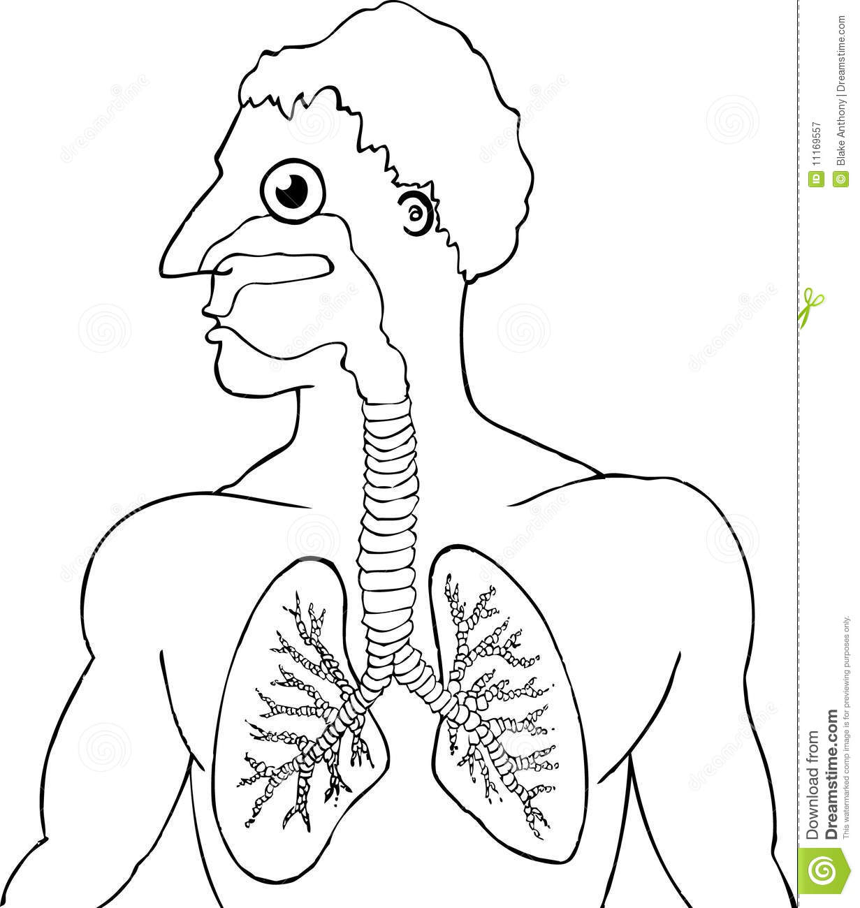 1231x1300 Cartoon Human Drawing How To Draw Cartoon Human Faces Character