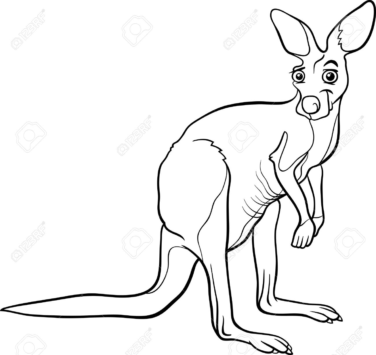 Cartoon Kangaroo Drawing_