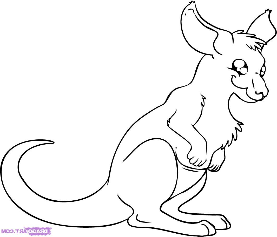 1066x913 Cool Pics Of Animals To Draw 6. How To Draw A Cartoon Kangaroo