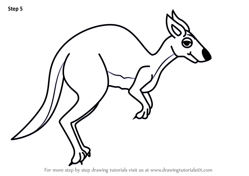 844x598 Learn How To Draw A Cartoon Kangaroo (Cartoon Animals) Step By