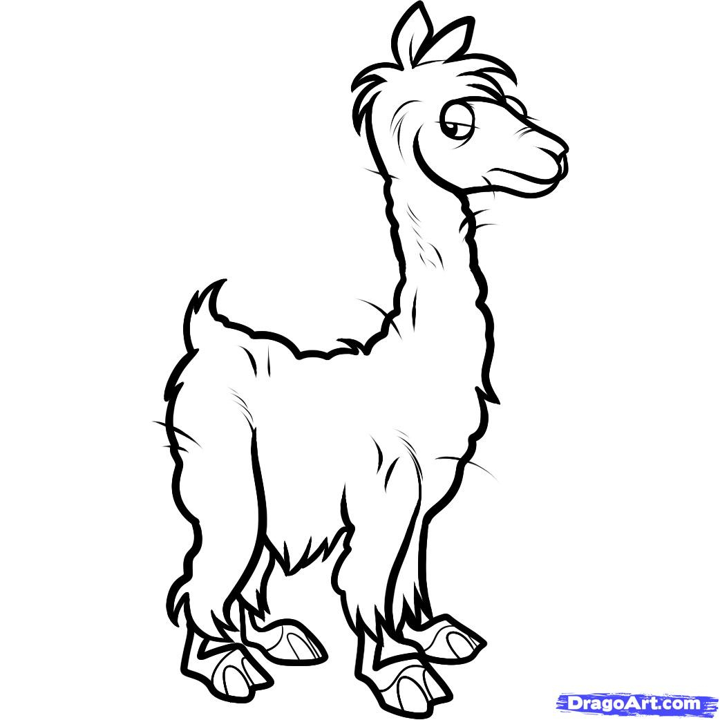 1042x1042 Drawing Of A Llama Drawn Llama Cartoon