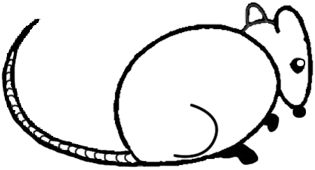 452x244 Big Guide To Drawing Cartoon Mice With Basic Shapes For Kids