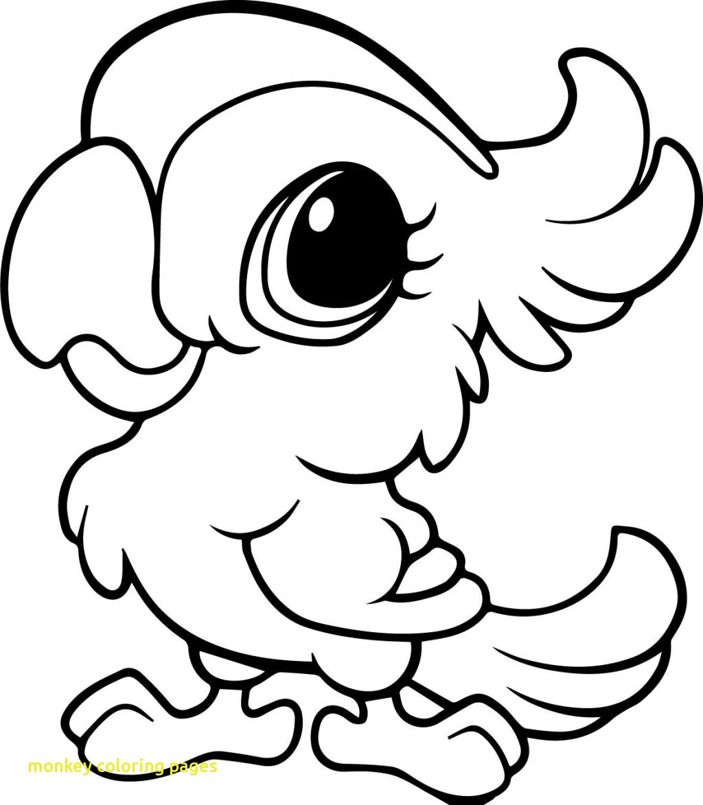 1024x1173 Monkey Coloring Pages With Draw Cartoon Monkey Coloring Pages 56