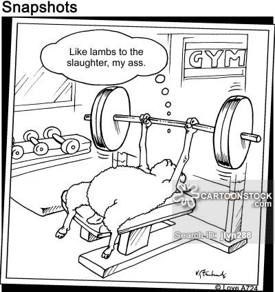 400x424 Lamb To The Slaughter Cartoons And Comics