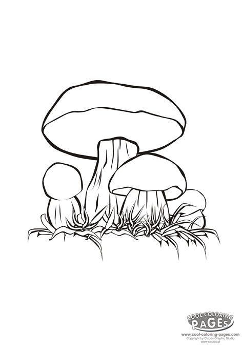 472x678 Cartoon Mushroom Coloring Pages King Bolete Coloring Mushrooms