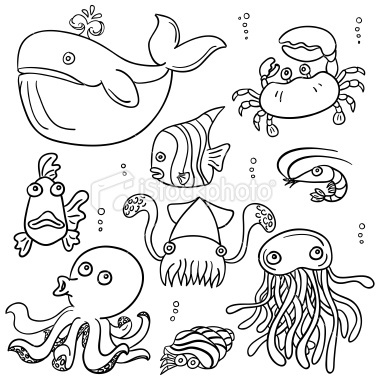 380x380 Cartoon Sea Animal In Line Art Style, Black And White Easy