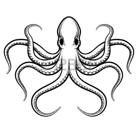 450x420 Tentacle Clipart Octopus Drawing
