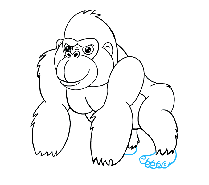 678x600 Outline Of Gorilla