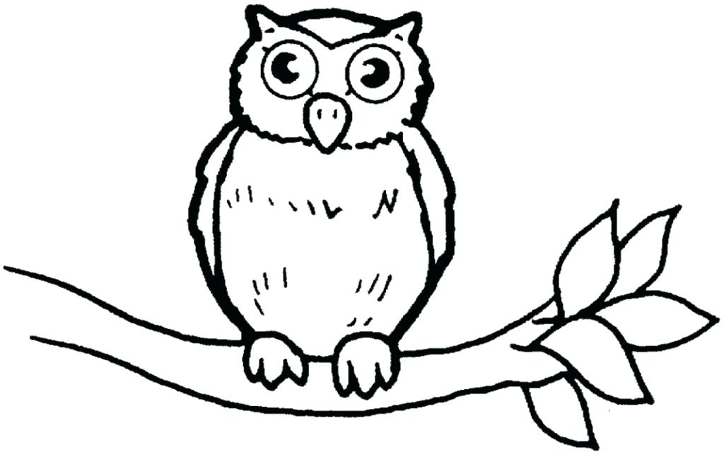 1024x643 Cartoon Owl Coloring Pages To Print Owls Cute Com For Detailed