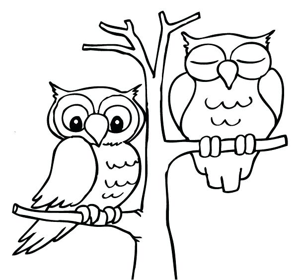 604x564 Coloring Pages Draw An Owl Affan