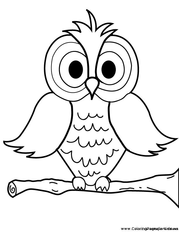 612x792 Cozy Design Coloring Page Owl Click The Cartoon Owl Pages