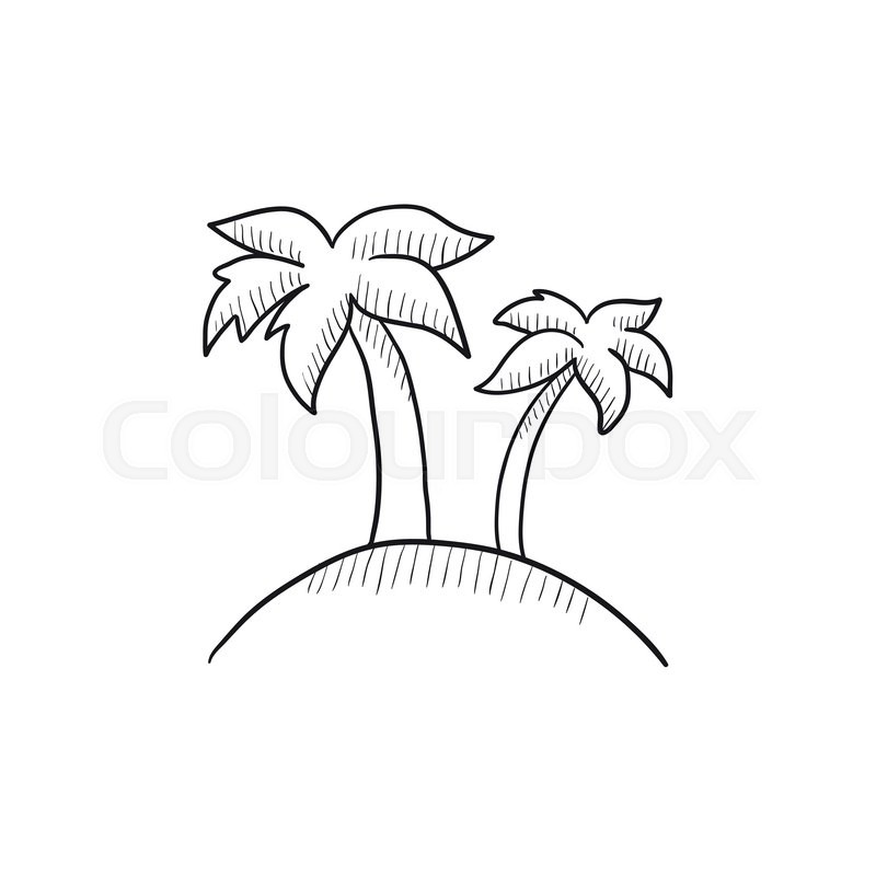 800x800 Two Palm Trees On Island Vector Sketch Icon Isolated On Background