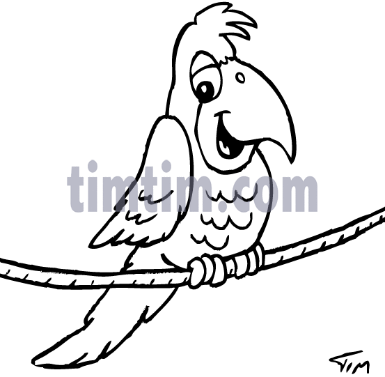 553x541 Free Drawing Of A Parrot Bw From The Category Birds Amp Insects