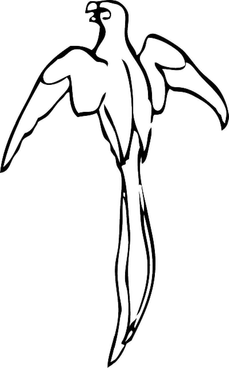 800x1283 Free Pictures Drawings