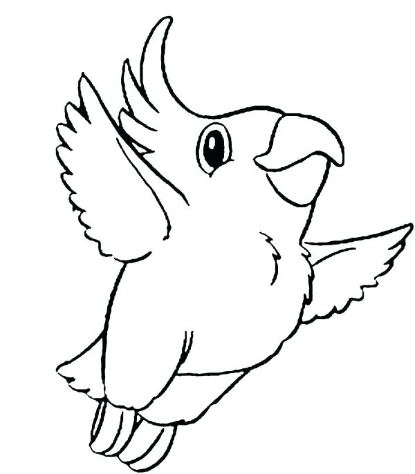 600x686 Parrot Coloring Printable Shape Of A Parrot Coloring Pages
