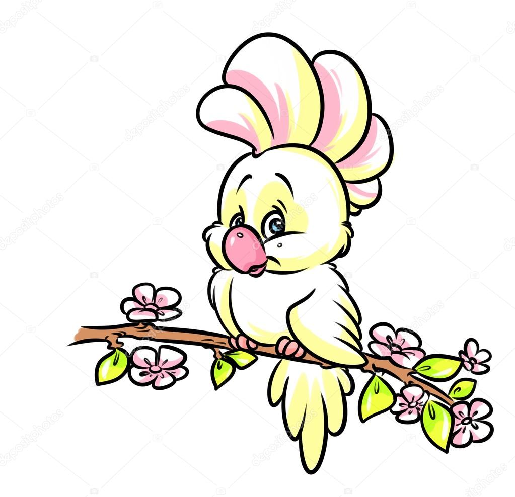 1023x988 Parrot Cockatoo Cartoon Stock Photo Efengai