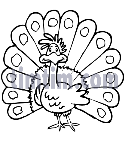 426x522 Free Drawing Of Peacock Bw From The Category Birds Amp Insects