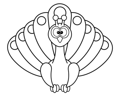 480x378 8 Best Peacocks Are The Best! Images On Coloring Books