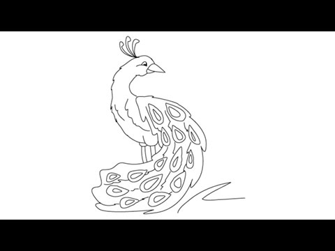 480x360 How To Draw A Peacock