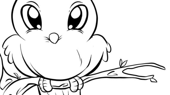 570x320 Simple Drawing Of Birds Simple Animal Coloring Pages How To Draw