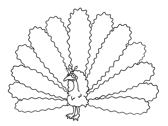 540x406 Cartoon Peacock Step By Step Drawing Lesson